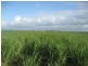 Home Hill QLD 4806