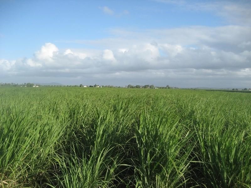 Home Hill QLD 4806