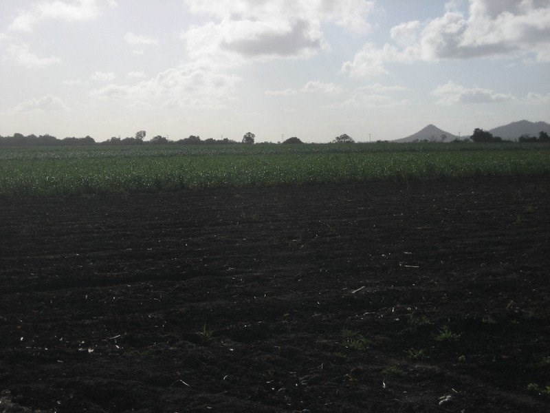 Home Hill QLD 4806
