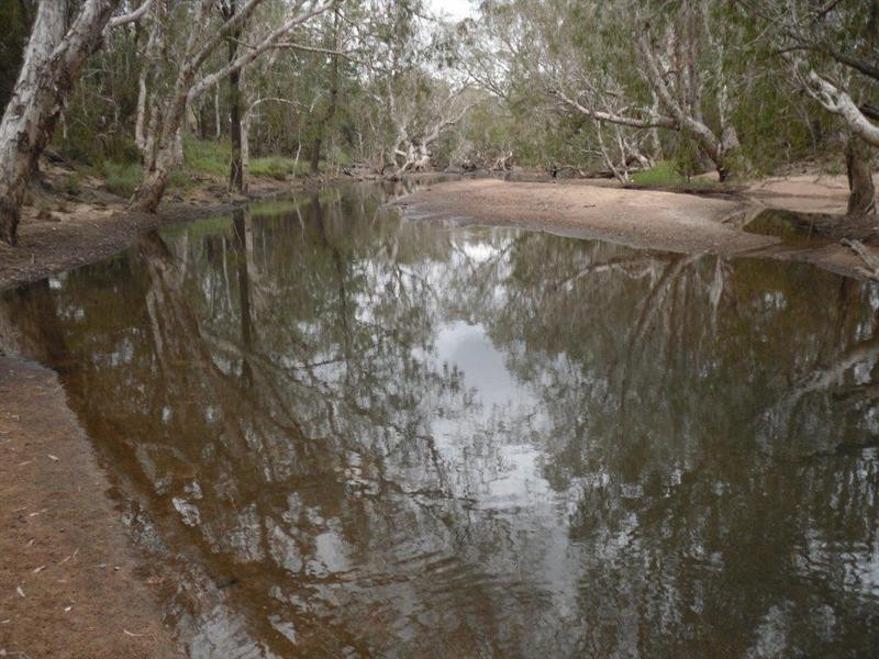 Majors Creek QLD 4816