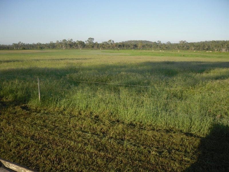 Majors Creek QLD 4816