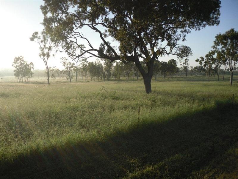 Majors Creek QLD 4816