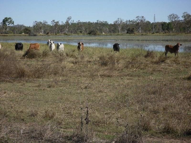 Majors Creek QLD 4816