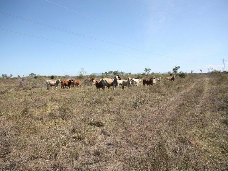 Majors Creek QLD 4816