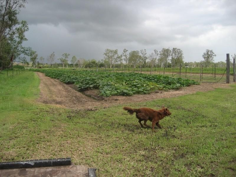 Mount Surround QLD 4809