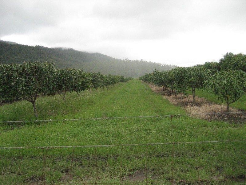 Mount Surround QLD 4809