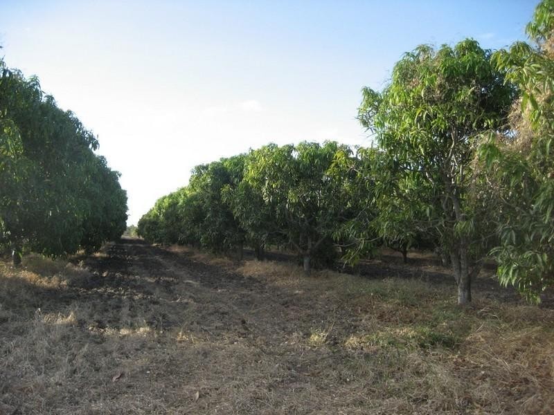 Gumlu QLD 4805