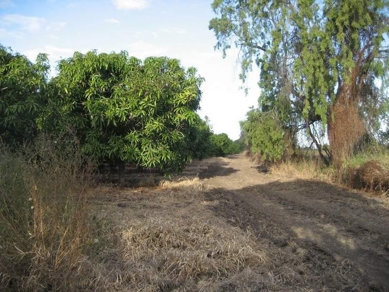 Gumlu QLD 4805