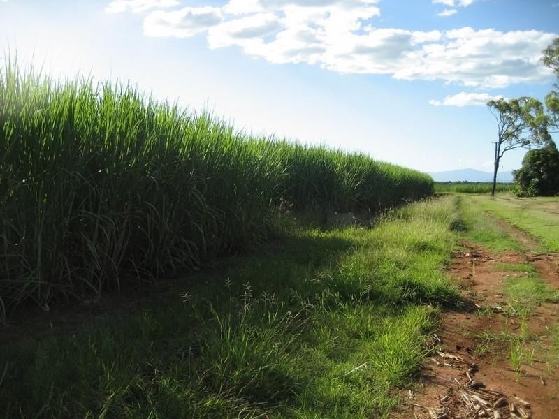 Home Hill QLD 4806