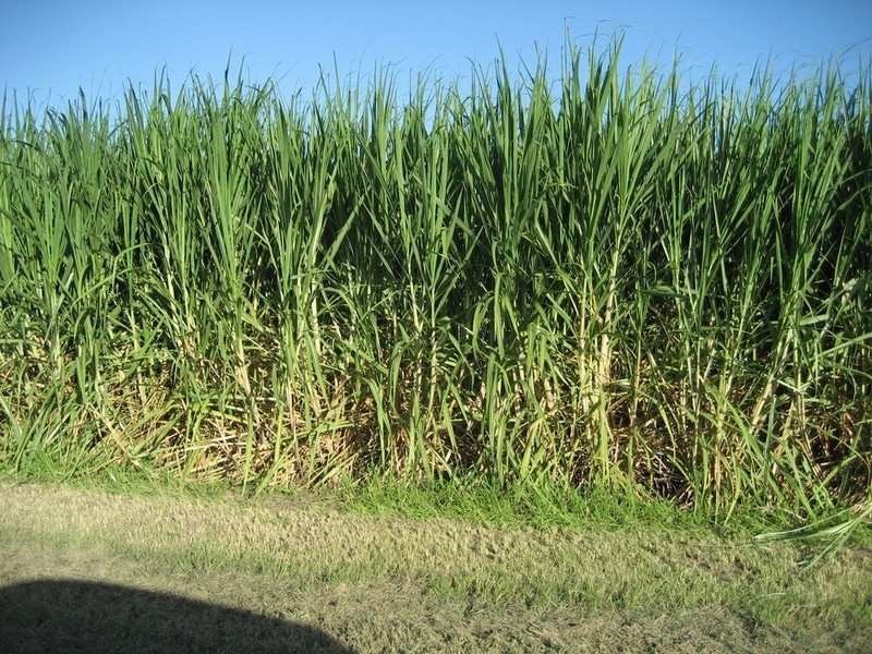 Home Hill QLD 4806