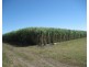 Ayr QLD 4807