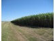 Ayr QLD 4807