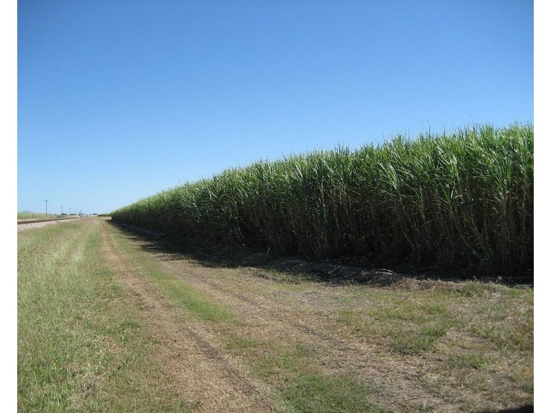 Ayr QLD 4807