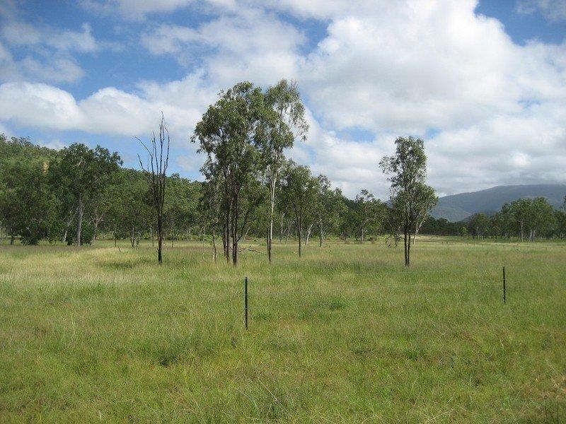 Majors Creek QLD 4816