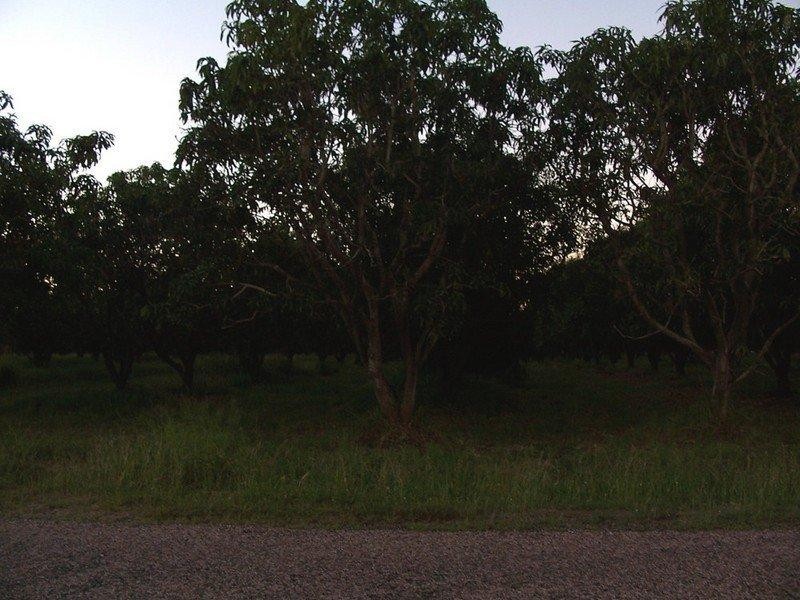 Mount Kelly QLD 4807