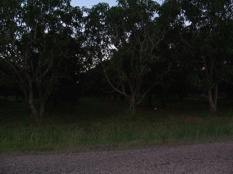 Mount Kelly QLD 4807