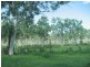 Nome QLD 4816
