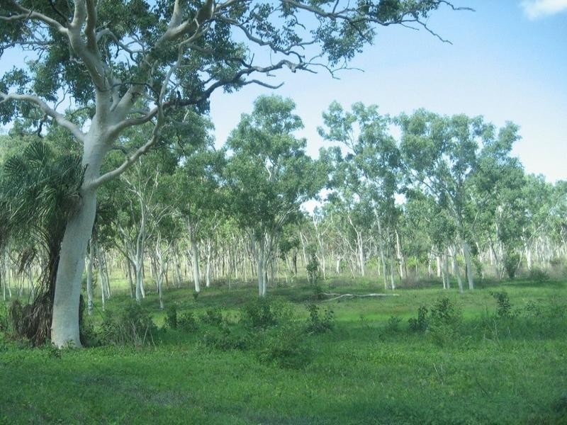 Nome QLD 4816