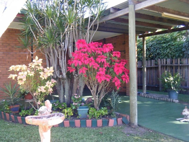 Jarvisfield QLD 4807