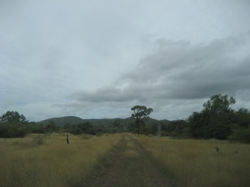 Inkerman QLD 4806