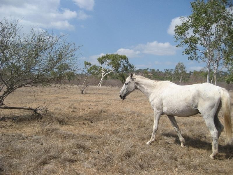 Inkerman QLD 4806