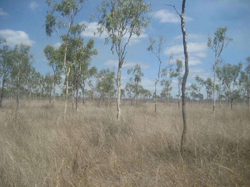 Inkerman QLD 4806