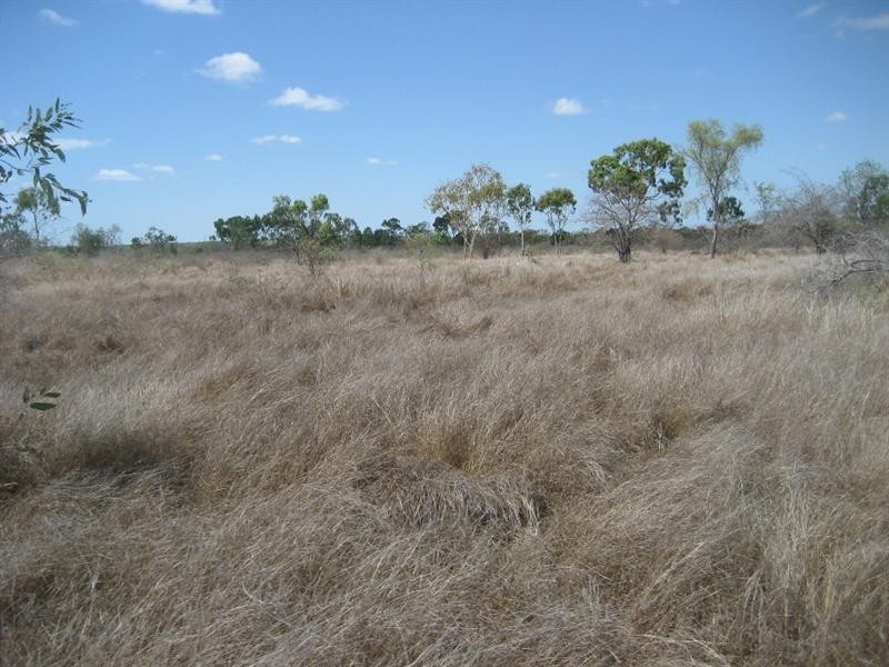 Inkerman QLD 4806