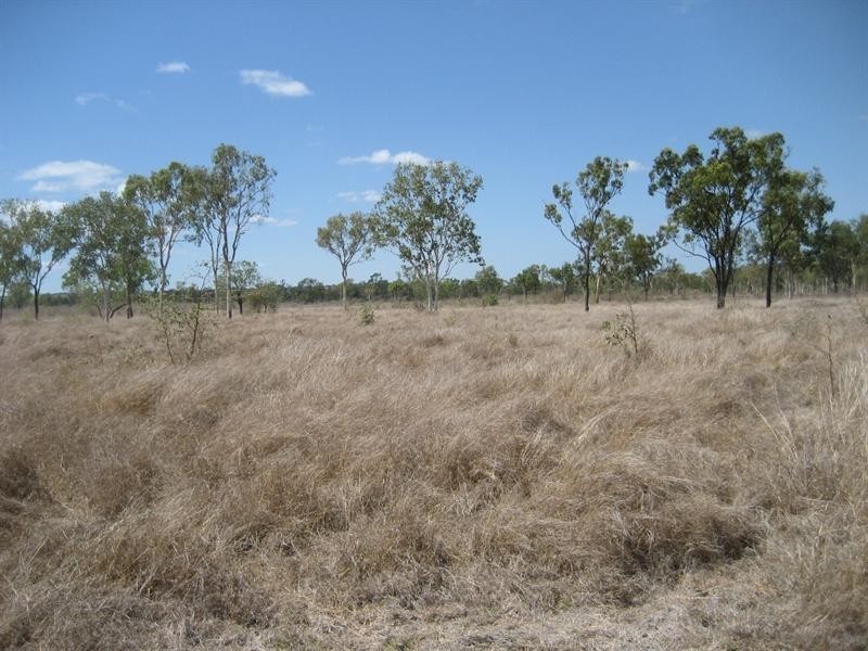 Inkerman QLD 4806