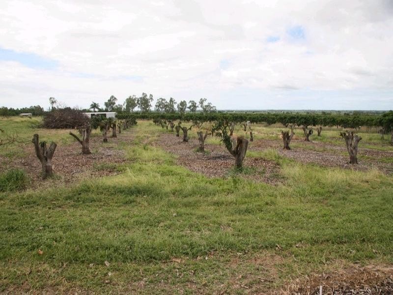 Ayr QLD 4807