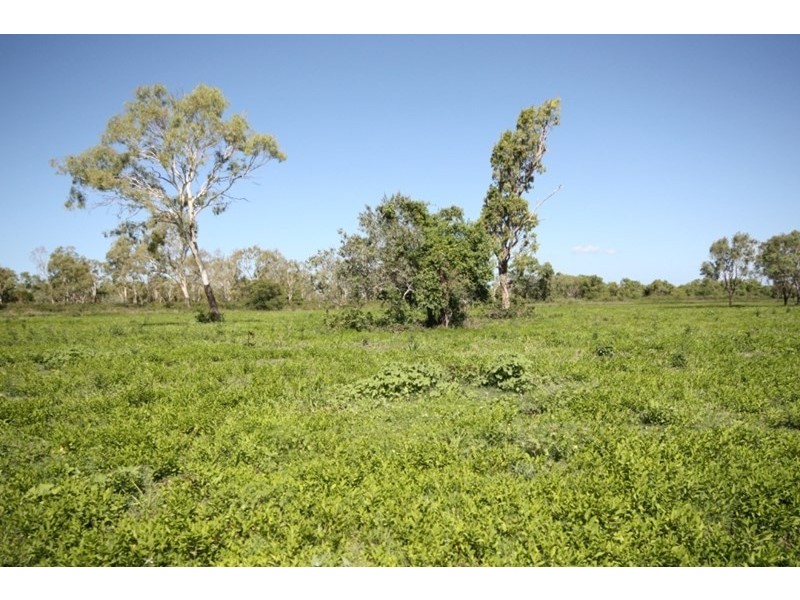 Rita Island QLD 4807