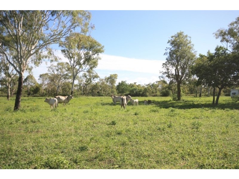 Rita Island QLD 4807