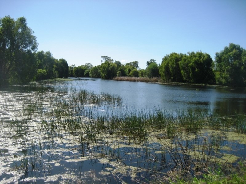 Rita Island QLD 4807