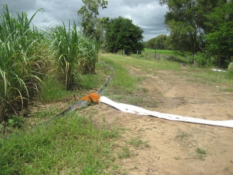 Colevale QLD 4808