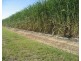Ayr QLD 4807