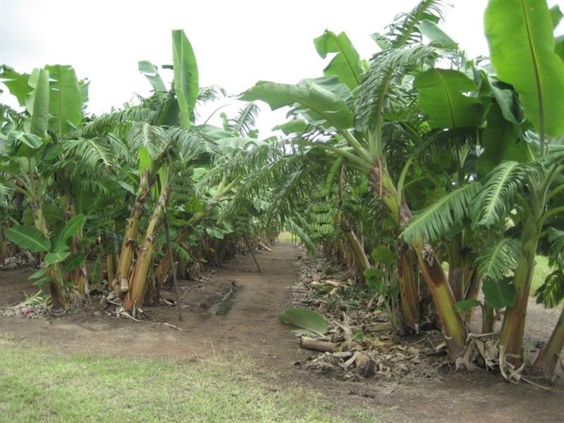 Mount Surround QLD 4809