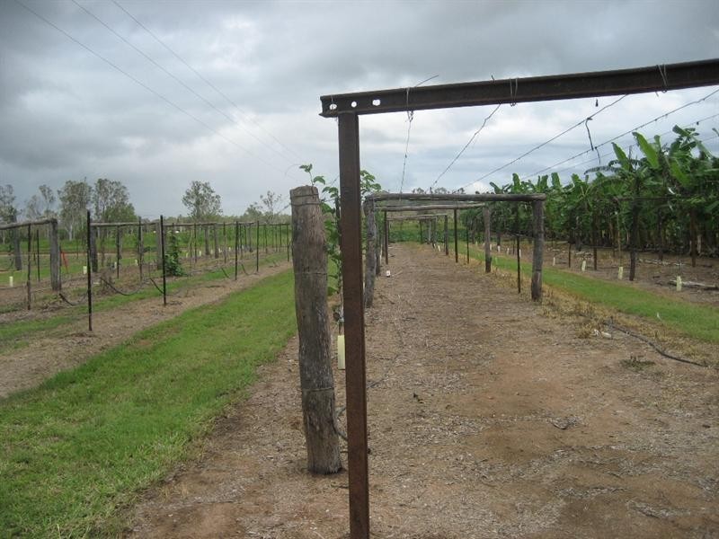 Mount Surround QLD 4809