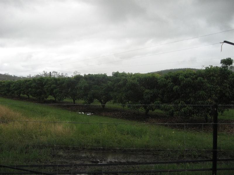 Mount Surround QLD 4809