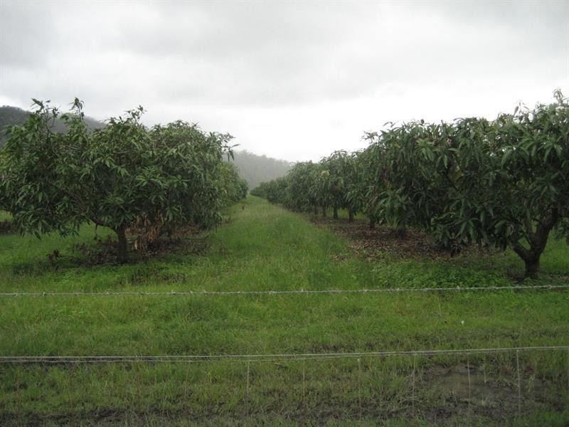 Mount Surround QLD 4809