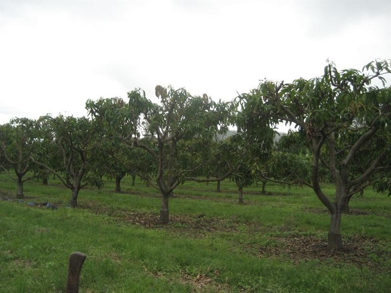 Mount Surround QLD 4809