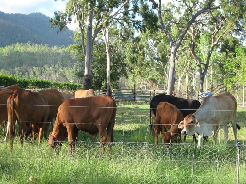 Mount Surround QLD 4809