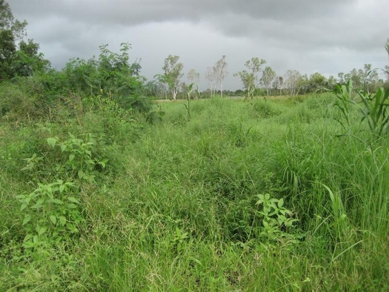 Mount Surround QLD 4809