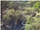 Inkerman QLD 4806