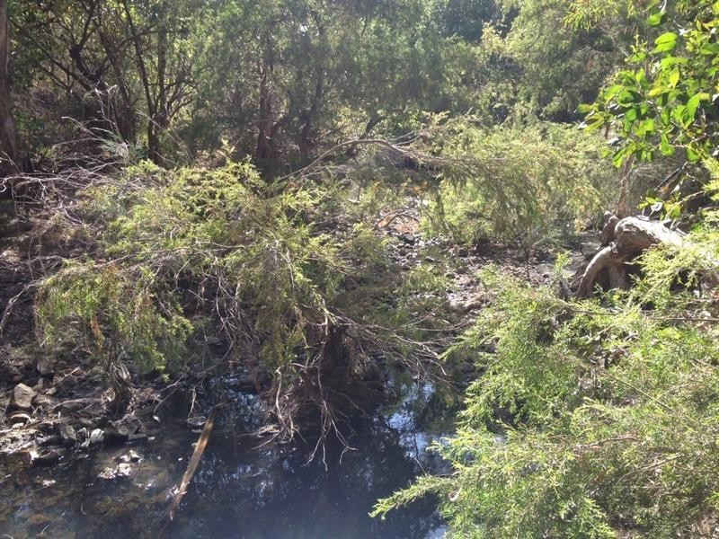 Inkerman QLD 4806