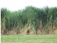Ayr QLD 4807