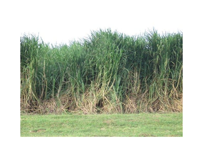 Ayr QLD 4807