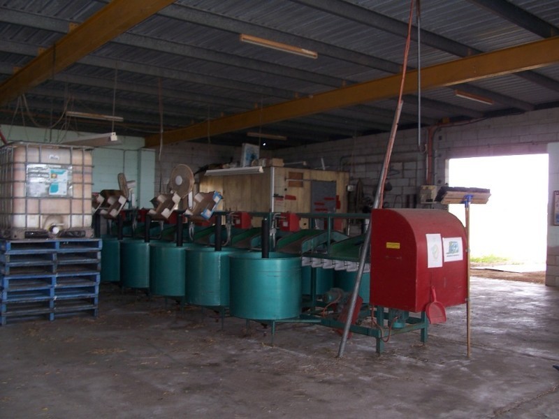 Gumlu QLD 4805