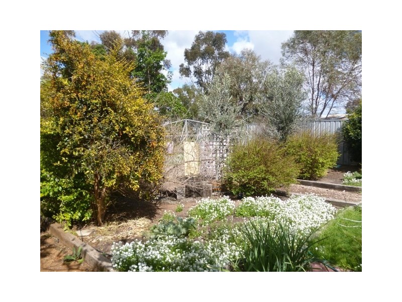 49 Harvey Street, Dumbleyung WA 6350