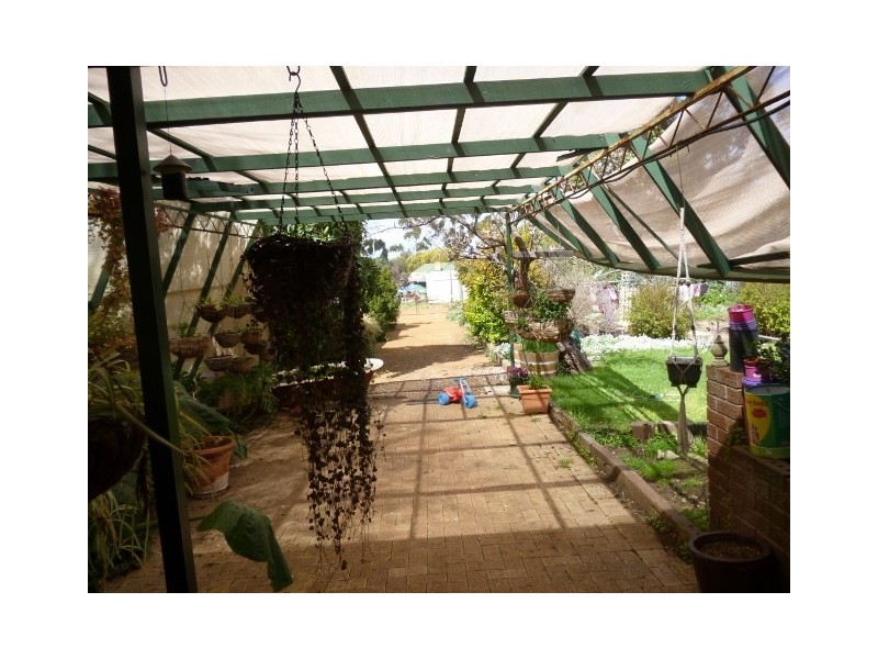 49 Harvey Street, Dumbleyung WA 6350