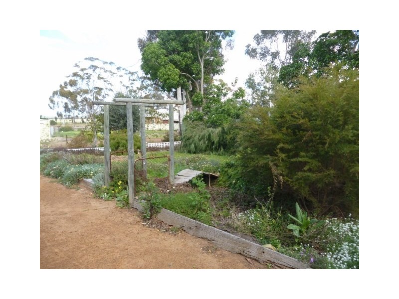 49 Harvey Street, Dumbleyung WA 6350