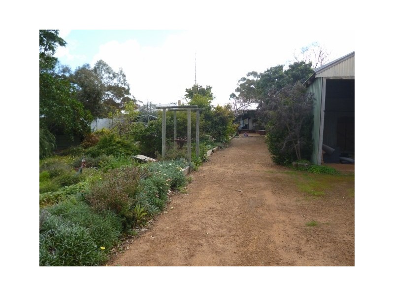 49 Harvey Street, Dumbleyung WA 6350